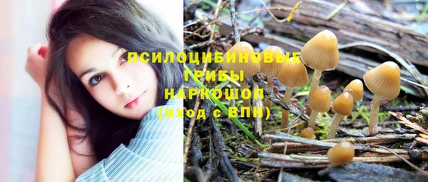 амф Михайловск