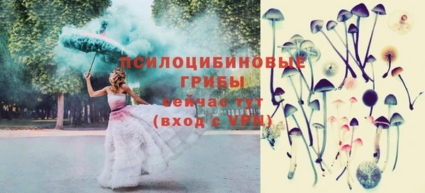 мескалин Надым