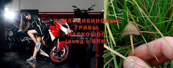 амф Михайловск