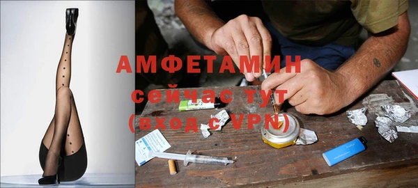 амф Михайловск