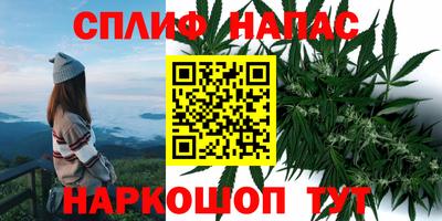 марки nbome Бийск