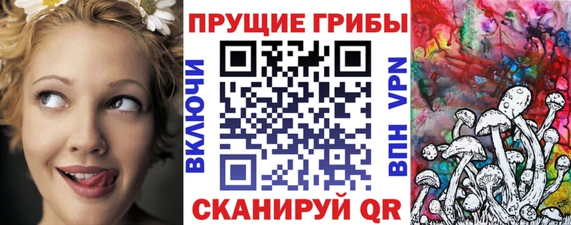 сколько стоит  Нефтекумск  Галлюциногенные грибы GOLDEN TEACHER 
