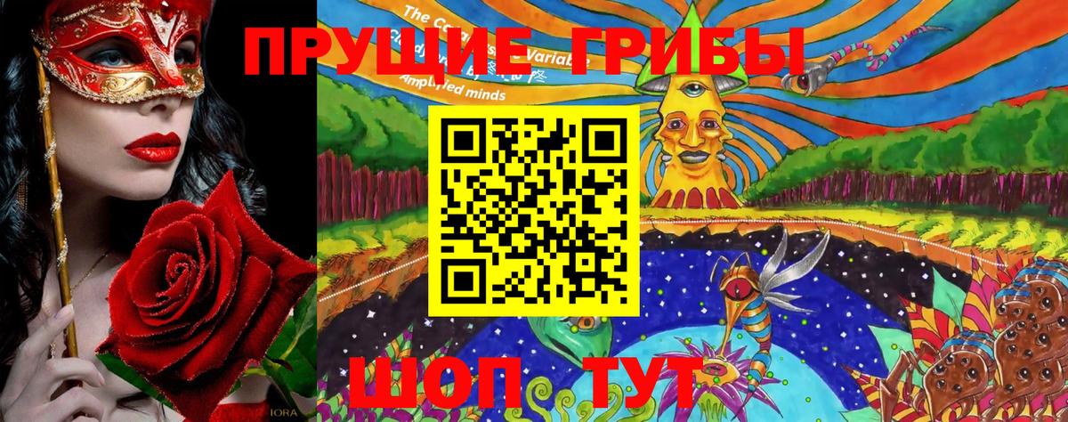 Псилоцибиновые грибы Psilocybine cubensis Нефтекумск